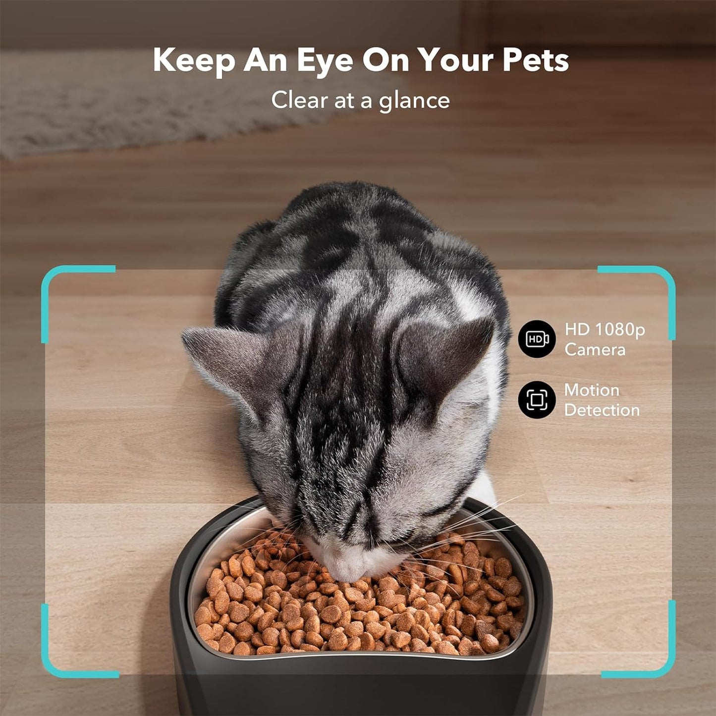 PETLIBRO Automatic Cat Feeder with Camera, 1080P HD Video with Night Vision