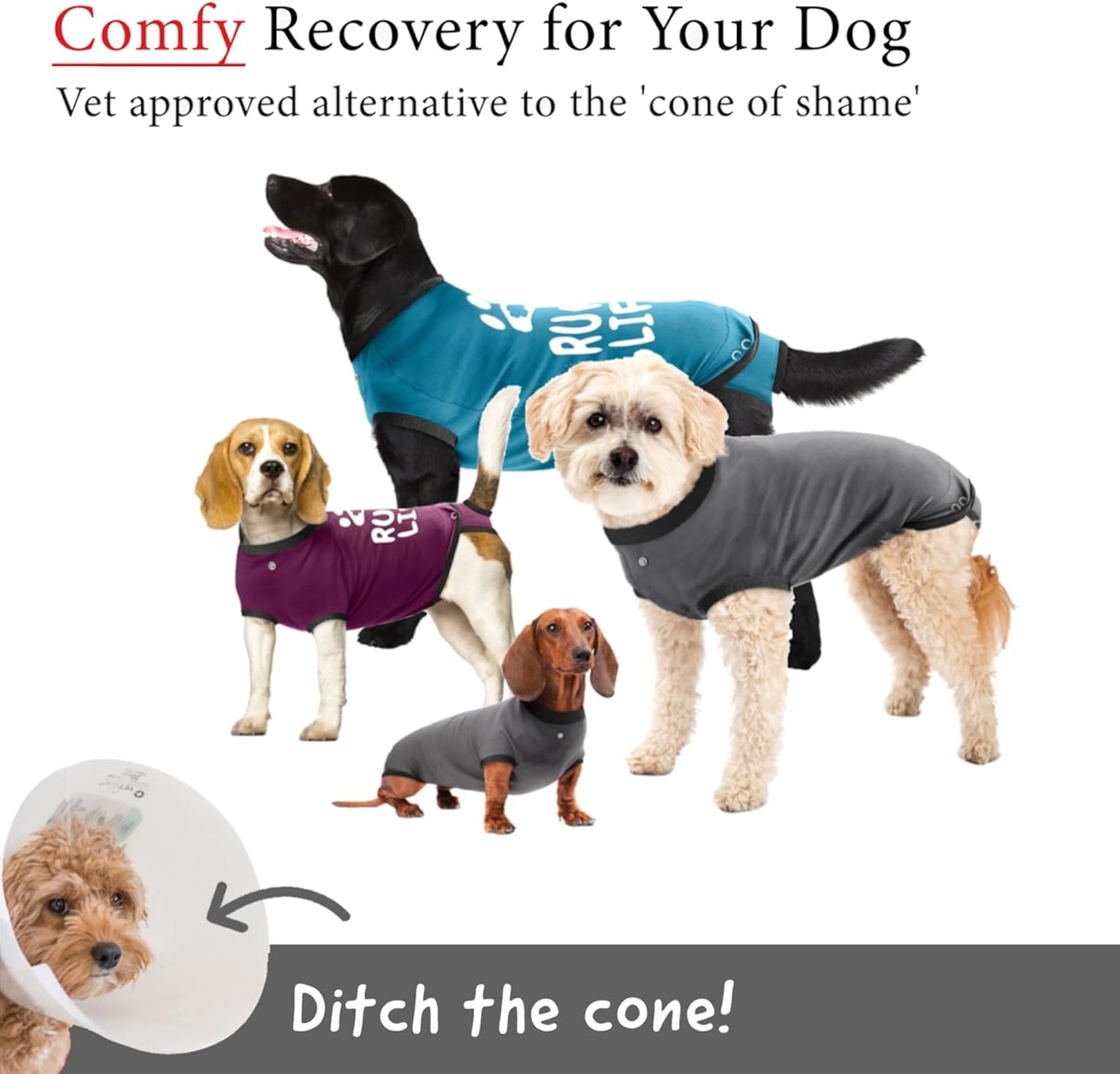 BellyGuard Dog Recovery Suit for Male and Female Dogs