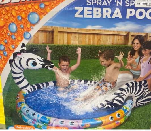 Spray N’ Splash Zebra Splash